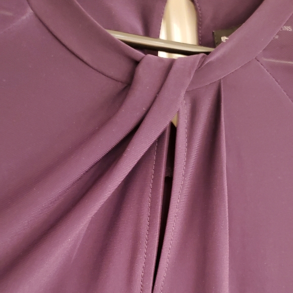 Sheer Lantern Sleeve Dress - Picture 12 of 12